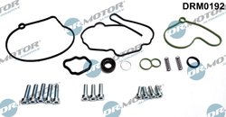 SET REPARATIE, POMPA VACUUM (SISTE FRANA) DR.MOTOR AUTOMOTIVE DRM0192 - Compatibil cu AUDI, FORD, SEAT, SKODA, VW