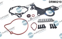 SET REPARATIE, POMPA VACUUM (SISTE FRANA) DR.MOTOR AUTOMOTIVE DRM0210 - Compatibil cu AUDI, FORD, SEAT, SKODA, VW