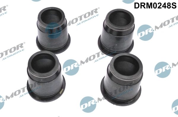 Etansare, suport injector Dr.Motor Automotive DRM0248S