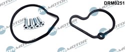 SET REPARATIE, POMPA VACUUM (SISTE FRANA) DR.MOTOR AUTOMOTIVE DRM0251 - Compatibil cu AUDI, SEAT, SKODA, VW