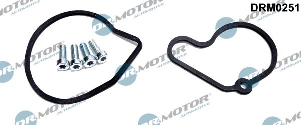SET REPARATIE, POMPA VACUUM (SISTE FRANA) DR.MOTOR AUTOMOTIVE DRM0251 - Compatibil cu AUDI, SEAT, SKODA, VW