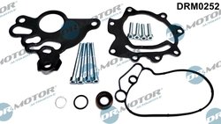 SET REPARATIE, POMPA VACUUM (SISTE FRANA) DR.MOTOR AUTOMOTIVE DRM0252 - Compatibil cu AUDI, SKODA, VW