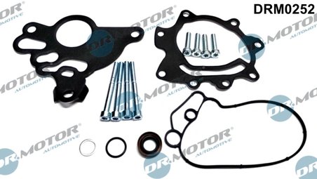 Set reparatie, pompa vacuum (Siste frana) Dr.Motor Automotiv