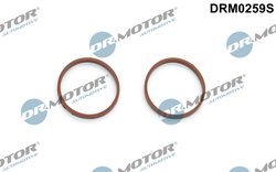 Set garnituri galerie admisie Dr.Motor Automotive DRM0259S