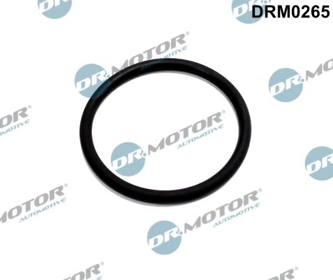 GARNITURA, CONDUCTA SUPAPA-AGR DR.MOTOR AUTOMOTIVE DRM0265 - Compatibil cu FORD