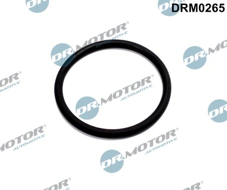 GARNITURA, CONDUCTA SUPAPA-AGR DR.MOTOR AUTOMOTIVE DRM0265 - Compatibil cu FORD