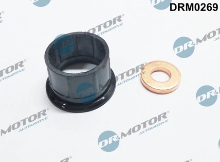 SET GARNITURI ETANSARE, INJECTOARE DR.MOTOR AUTOMOTIVE DRM0269 - Compatibil cu CITROEN, PEUGEOT