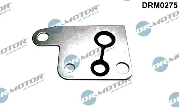 Garnitura, pompa vacuum Dr.Motor Automotive DRM0275
