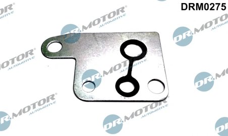 Garnitura, pompa vacuum Dr.Motor Automotive DRM0275