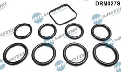 SET GARNITURI GALERIE ADMISIE DR.MOTOR AUTOMOTIVE DRM027S - Compatibil cu CITROEN, FIAT, FORD, MAZDA, MINI, PEUGEOT, SANTANA, SU