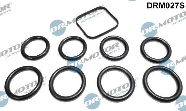 Set garnituri galerie admisie Dr.Motor Automotive DRM027S