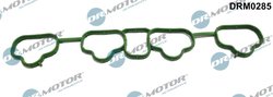 GARNITURA GALERIE ADMISIE DR.MOTOR AUTOMOTIVE DRM0285 - Compatibil cu CHEVROLET, OPEL