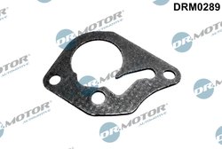 Garnitura, pompa vacuum Dr.Motor Automotive DRM0289