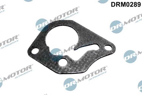 Garnitura, pompa vacuum Dr.Motor Automotive DRM0289