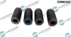 SURUB AJUSTARE POMPA INJECTIE DR.MOTOR AUTOMOTIVE DRM0307 - Compatibil cu AUDI, FORD, SEAT, SKODA, VW