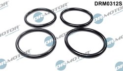 SET GARNITURI GALERIE ADMISIE DR.MOTOR AUTOMOTIVE DRM0312S - Compatibil cu CITROEN, FIAT, PEUGEOT