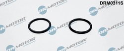 inel etansare, racord incalzire Dr.Motor Automotive DRM0311S