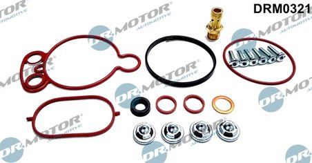 Set reparatie, pompa vacuum (Siste frana) Dr.Motor Automotiv