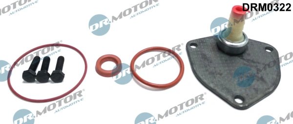 SET REPARATIE, POMPA VACUUM (SISTE FRANA) DR.MOTOR AUTOMOTIVE DRM0322 - Compatibil cu AUDI, FORD, SEAT, SKODA, VW