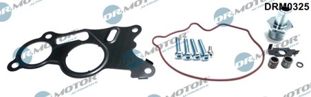 Set reparatie, pompa vacuum (Siste frana) Dr.Motor Automotiv