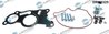 Set reparatie, pompa vacuum (Siste frana) Dr.Motor Automotiv