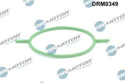 Garnitura, pompa vacuum Dr.Motor Automotive DRM0349