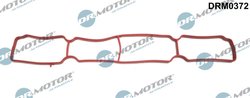 GARNITURA GALERIE ADMISIE DR.MOTOR AUTOMOTIVE DRM0372 - Compatibil cu FORD, VOLVO