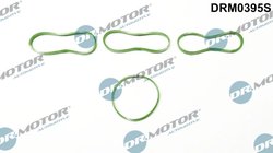 SET GARNITURI GALERIE ADMISIE DR.MOTOR AUTOMOTIVE DRM0395S - Compatibil cu FORD