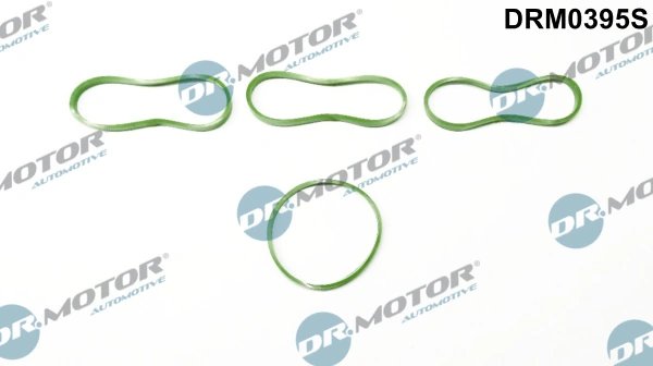 Set garnituri galerie admisie Dr.Motor Automotive DRM0395S