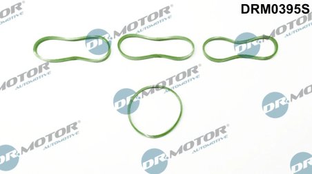 Set garnituri galerie admisie Dr.Motor Automotive DRM0395S