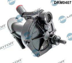SET REPARATIE, POMPA VACUUM (SISTE FRANA) DR.MOTOR AUTOMOTIVE DRM0407 - Compatibil cu FORD