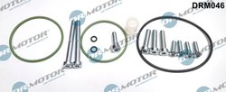 SET REPARATIE, POMPA VACUUM (SISTE FRANA) DR.MOTOR AUTOMOTIVE DRM046 - Compatibil cu AUDI