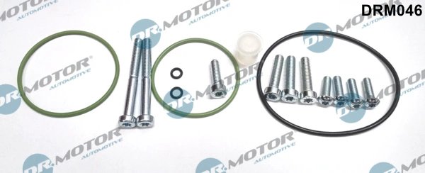 Set reparatie, pompa vacuum (Siste frana) Dr.Motor Automotiv