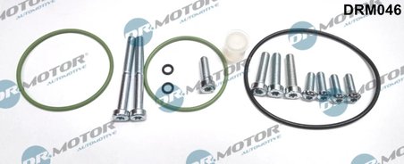 Set reparatie, pompa vacuum (Siste frana) Dr.Motor Automotiv
