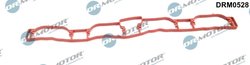 GARNITURA GALERIE ADMISIE DR.MOTOR AUTOMOTIVE DRM0528 - Compatibil cu AUDI, SEAT, SKODA, VW