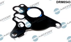 Garnitura, pompa vacuum Dr.Motor Automotive DRM0543