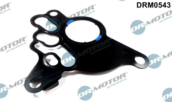 GARNITURA, POMPA VACUUM DR.MOTOR AUTOMOTIVE DRM0543 - Compatibil cu AUDI, SEAT, SKODA, VW