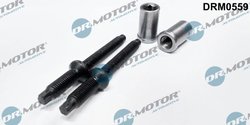 SURUB, SUPORT INJECTOR DR.MOTOR AUTOMOTIVE DRM0559 - Compatibil cu CITROEN, FIAT, FORD, PEUGEOT