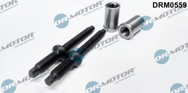 SURUB, SUPORT INJECTOR DR.MOTOR AUTOMOTIVE DRM0559 - Compatibil cu CITROEN, FIAT, FORD, PEUGEOT