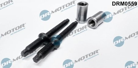 SURUB, SUPORT INJECTOR DR.MOTOR AUTOMOTIVE DRM0559 - Compatibil cu CITROEN, FIAT, FORD, PEUGEOT