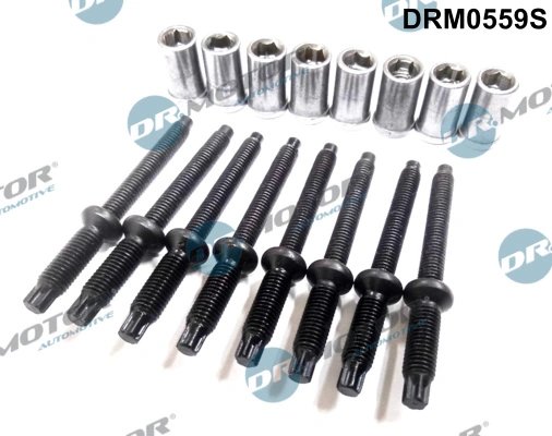 Surub, suport injector Dr.Motor Automotive DRM0559S