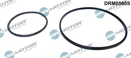 SET ETANSARE, POMPA VACUUM DR.MOTOR AUTOMOTIVE DRM0560S - Compatibil cu BMW