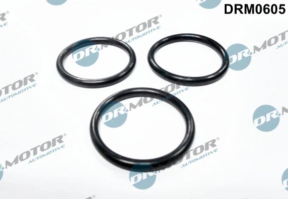 Garnitura pompa de apa Dr.Motor Automotive DRM0605
