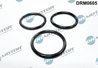 Garnitura pompa de apa Dr.Motor Automotive DRM0605
