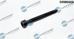 SURUB, SUPORT INJECTOR DR.MOTOR AUTOMOTIVE DRM0609 - Compatibil cu AUDI, SEAT, SKODA, VW