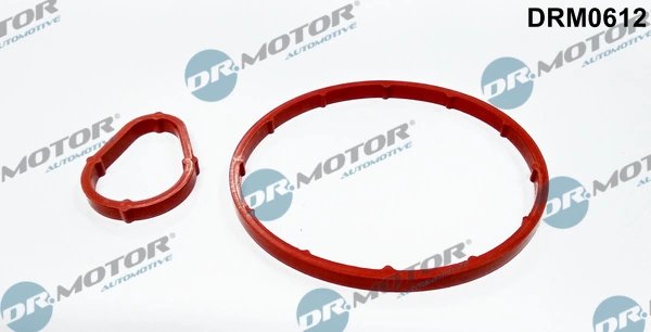 SET ETANSARE, POMPA VACUUM DR.MOTOR AUTOMOTIVE DRM0612 - Compatibil cu CITROEN, FORD, MAZDA, PEUGEOT