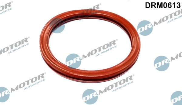 Etansare, carcasa clapeta Dr.Motor Automotive DRM0613