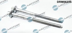 SURUB, SUPORT INJECTOR DR.MOTOR AUTOMOTIVE DRM0623S - Compatibil cu CITROEN, FIAT, FORD, PEUGEOT