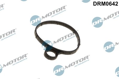GARNITURA, POMPA VACUUM DR.MOTOR AUTOMOTIVE DRM0642 - Compatibil cu FORD, VOLVO