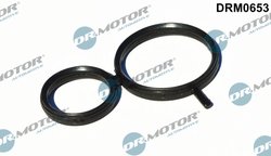 GARNITURA DE ETANSARE, REGLAREA ARBORELUI CU CAME DR.MOTOR AUTOMOTIVE DRM0653 - Compatibil cu BMW
